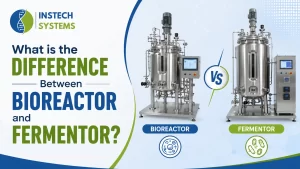 Read more about the article What is the Difference Between Bioreactor and Fermentor